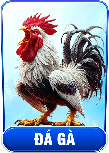 Đá Gà
